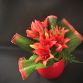 SCHN - Actualité - Ateliers d'art floral du 11 au 13/01/2024